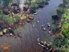 On-the-Bayou
